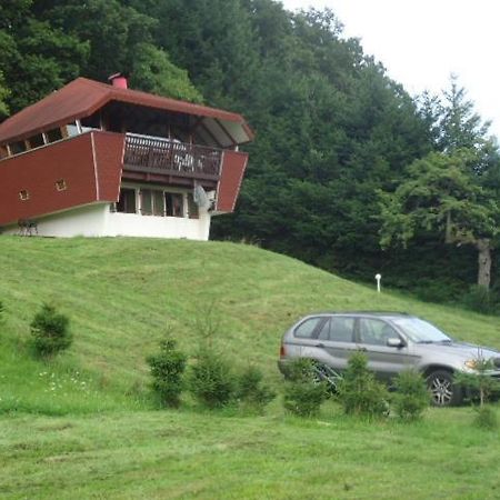 Chalet Contemporain Plein Nature アルテンバッハ エクステリア 写真