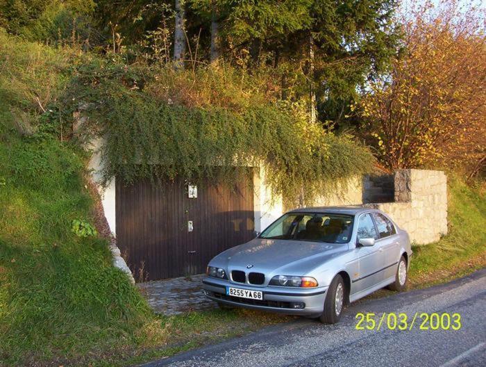 Chalet Contemporain Plein Nature アルテンバッハ エクステリア 写真
