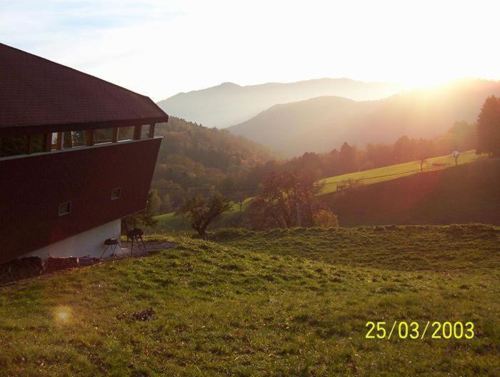 Chalet Contemporain Plein Nature アルテンバッハ 部屋 写真